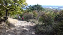 Utunk a hegytető alatt kb. 50 m-el lejtősre váltott, háttérben a kanyargó Tisza ezüstcsíkja látszik.