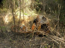 "Rozsdaboglya" az erdőben. Talán egy kiszuperált IFA teherautó csontváza lehet? Fotó: Fodor Éva.