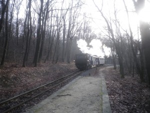 Vadaspark megállóhely. Jön a "füstös" Nosztalgiaszerelvény. 2019.12.28. Normafa-Lipótmező VSC túra. Fotó: Sándor Tibor