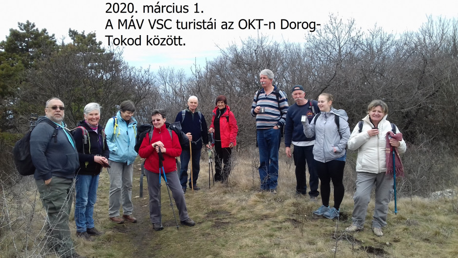 20200301_120205_okt_dorog-tokod-honlapra.jpg